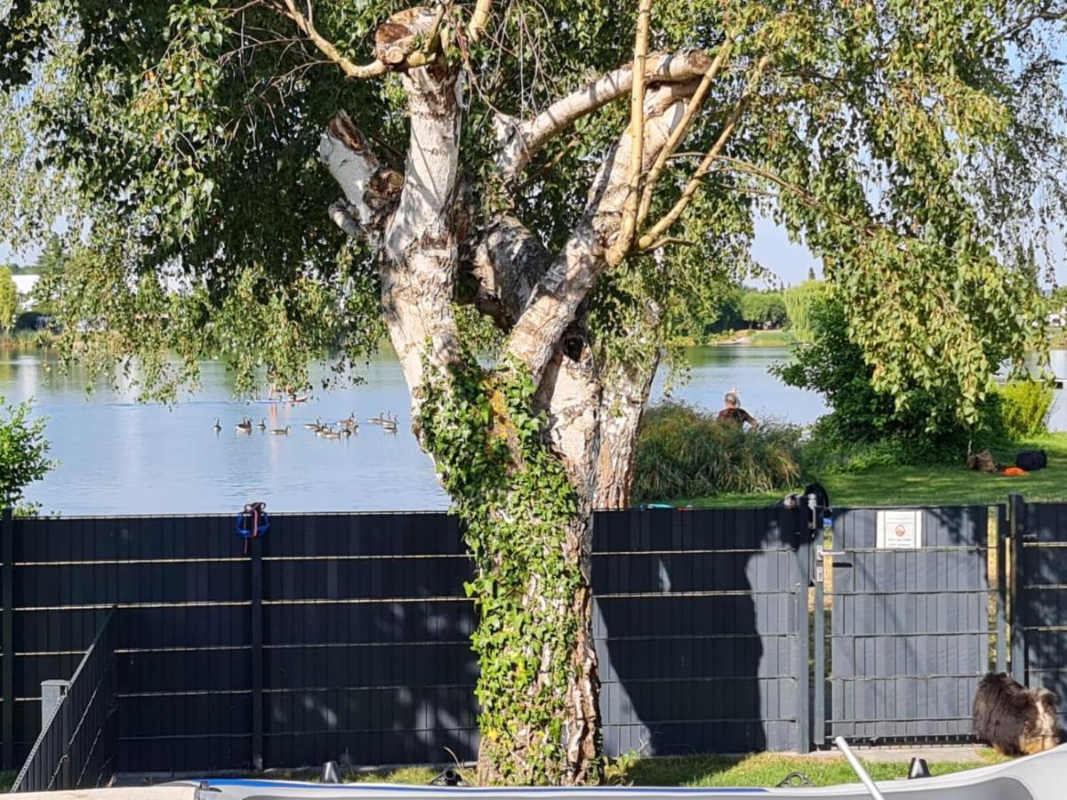 Ferienhaus Am See Hungen المظهر الخارجي الصورة